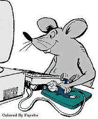 mouse using computer - thanks to Tim Wilkins for forwarding this