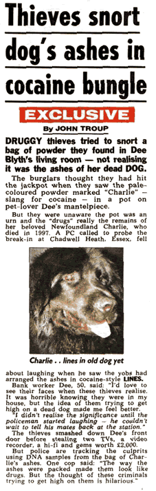 nespaper cutting about thieves snorting a dog's ashes